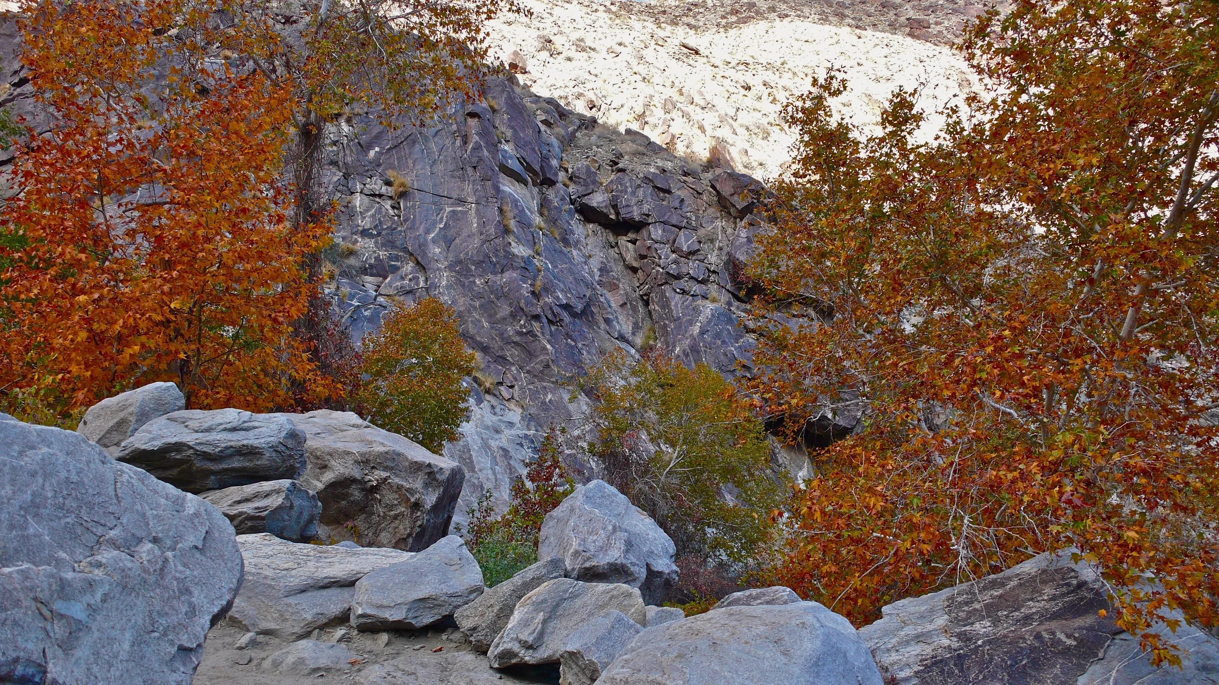 P1050029.jpg
