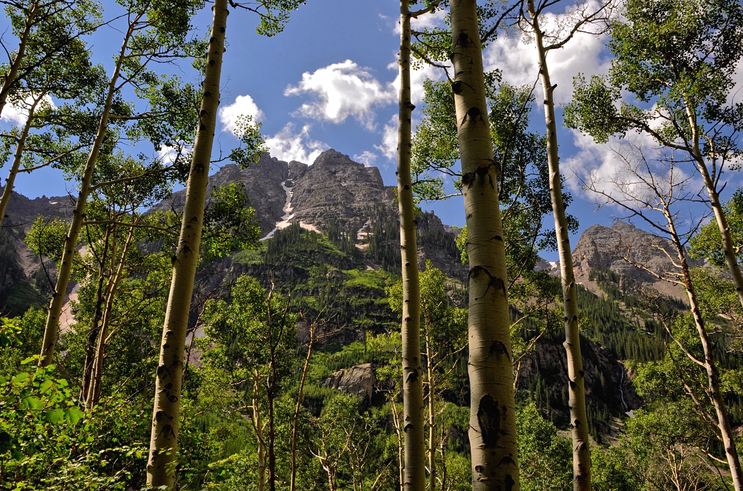 DSC_0147.jpg