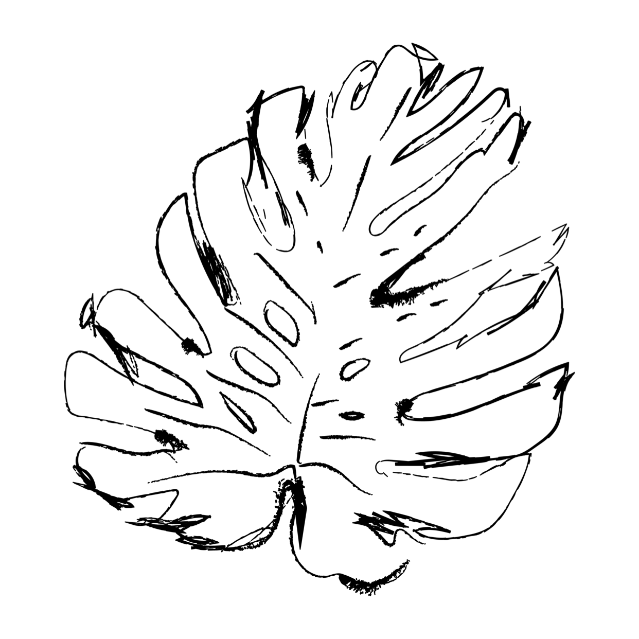 IMG_2784 copy.png