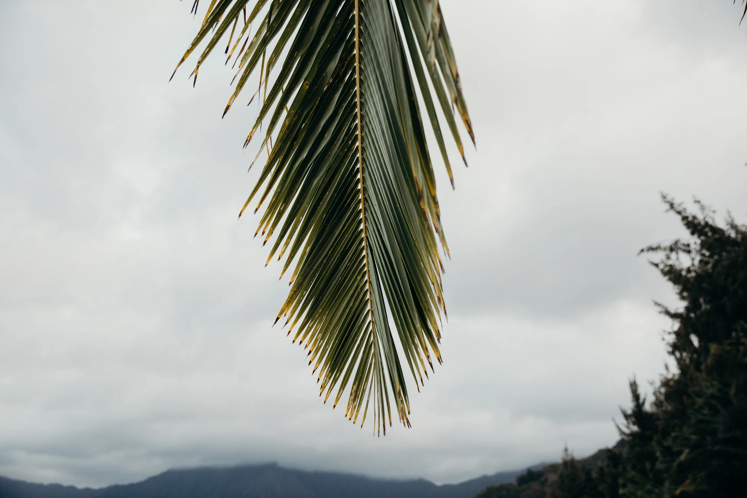 KEANIBAKULA-251.jpg