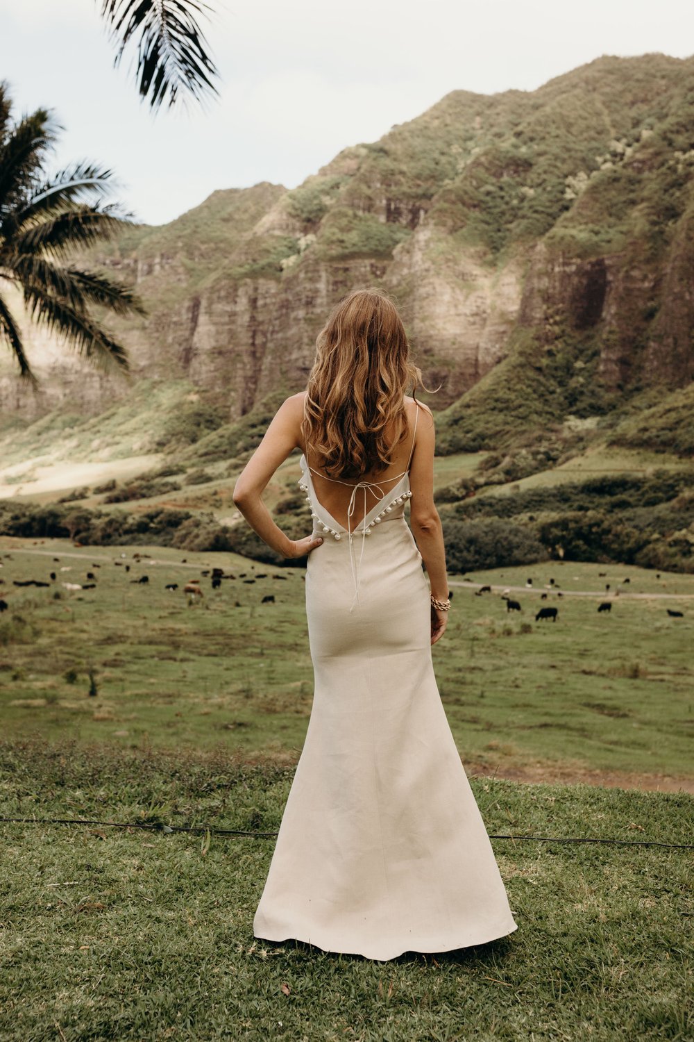 hawaii-wedding-photographer-jumanji-kualoa-ranch-wedding-6.jpg