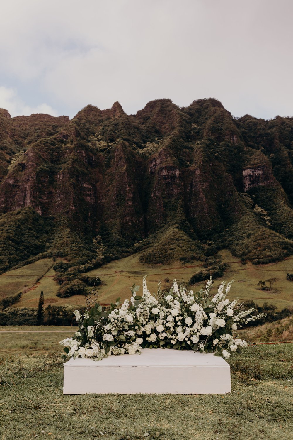 hawaii-wedding-photographer-jumanji-kualoa-ranch-wedding-19.jpg