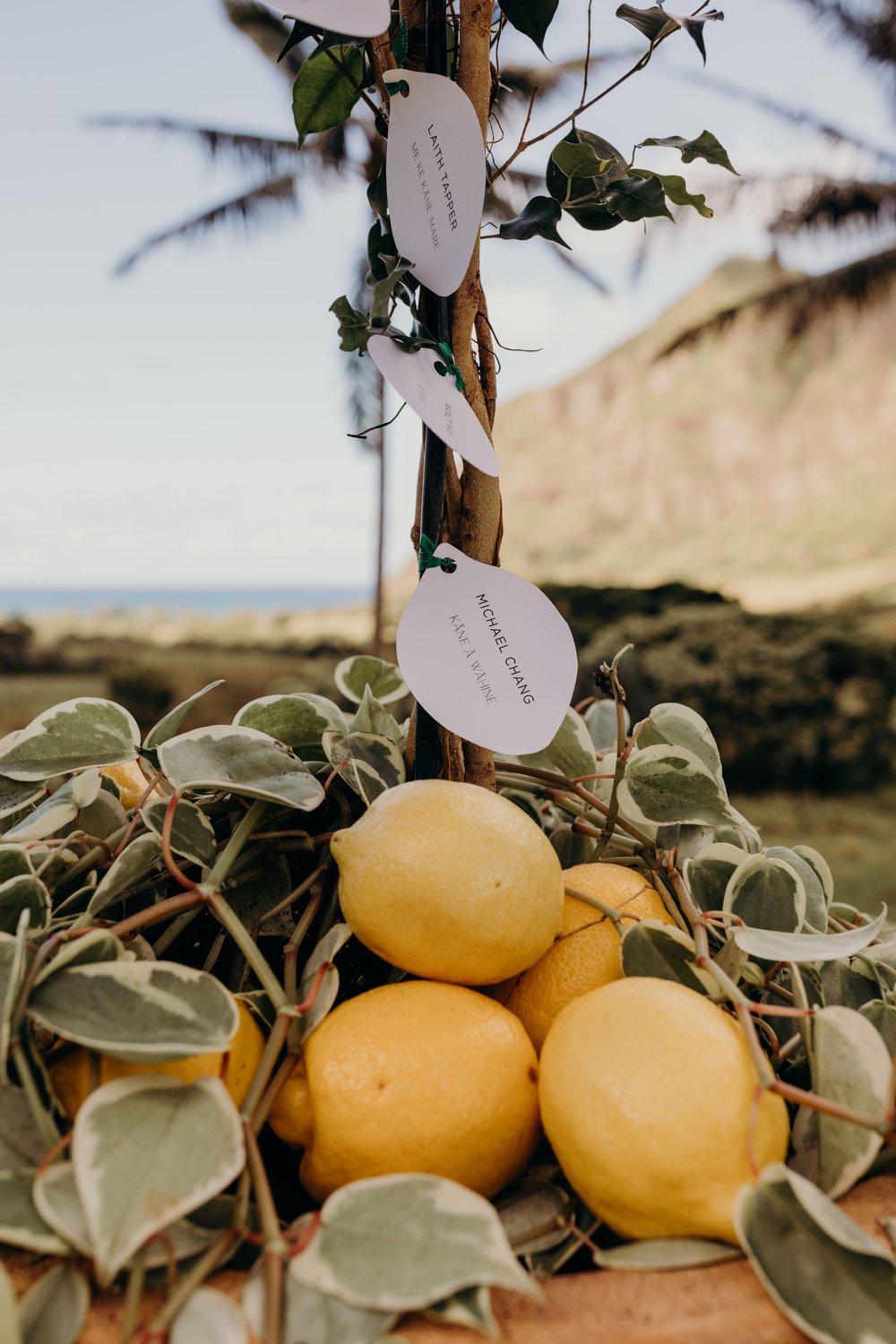 hawaii-wedding-photographer-jumanji-kualoa-ranch-wedding-25.jpg