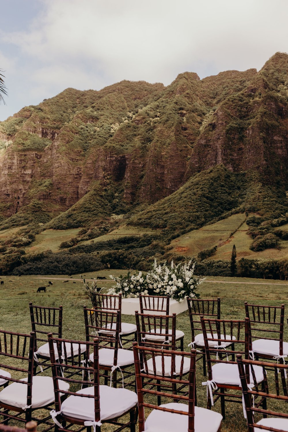 hawaii-wedding-photographer-jumanji-kualoa-ranch-wedding-26.jpg