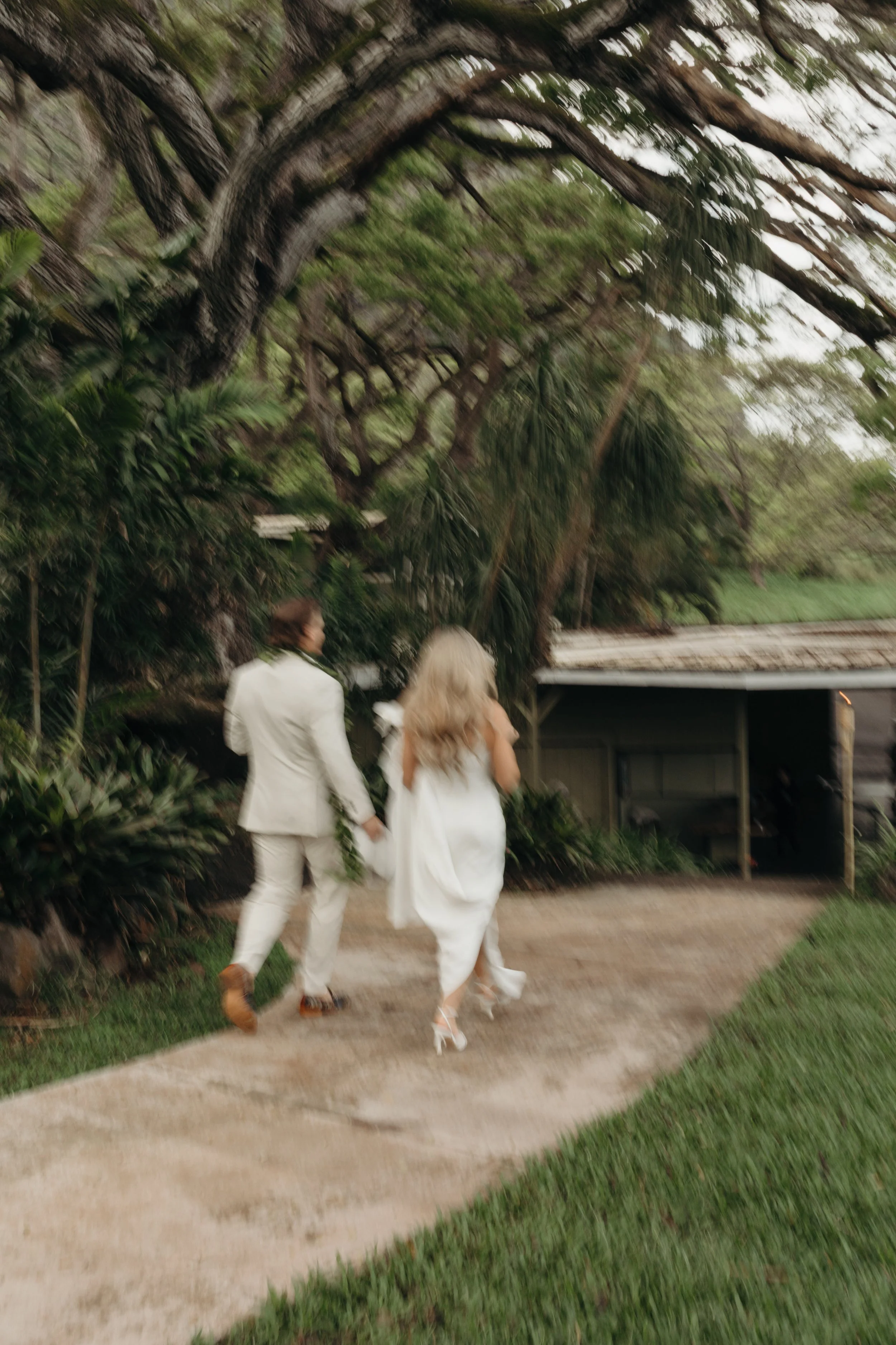 paliku-gardens-wedding-oahu-wedding-photographer-keani-bakula-31.jpg