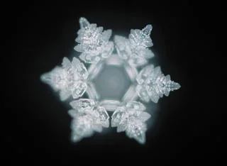Masuru Emoto's drop of water responding to the word, truth.