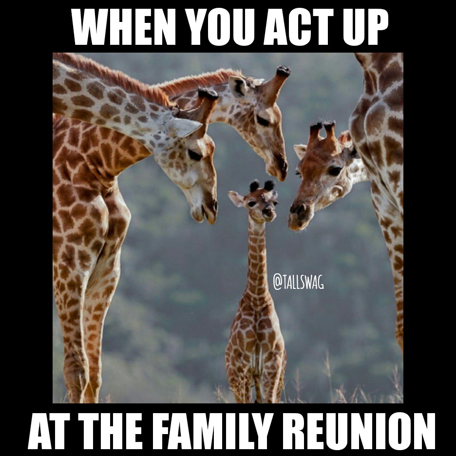 4 Tall Meme Alicia Jay Style SWAG TallSWAG Act Up Family Reunion.jpg