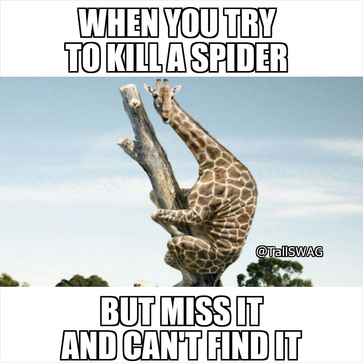 11 Tall Meme Alicia Jay Style SWAG TallSWAG 1 Tall Girls Can't find the spider.jpg