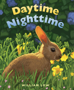 Night and Day Storytime