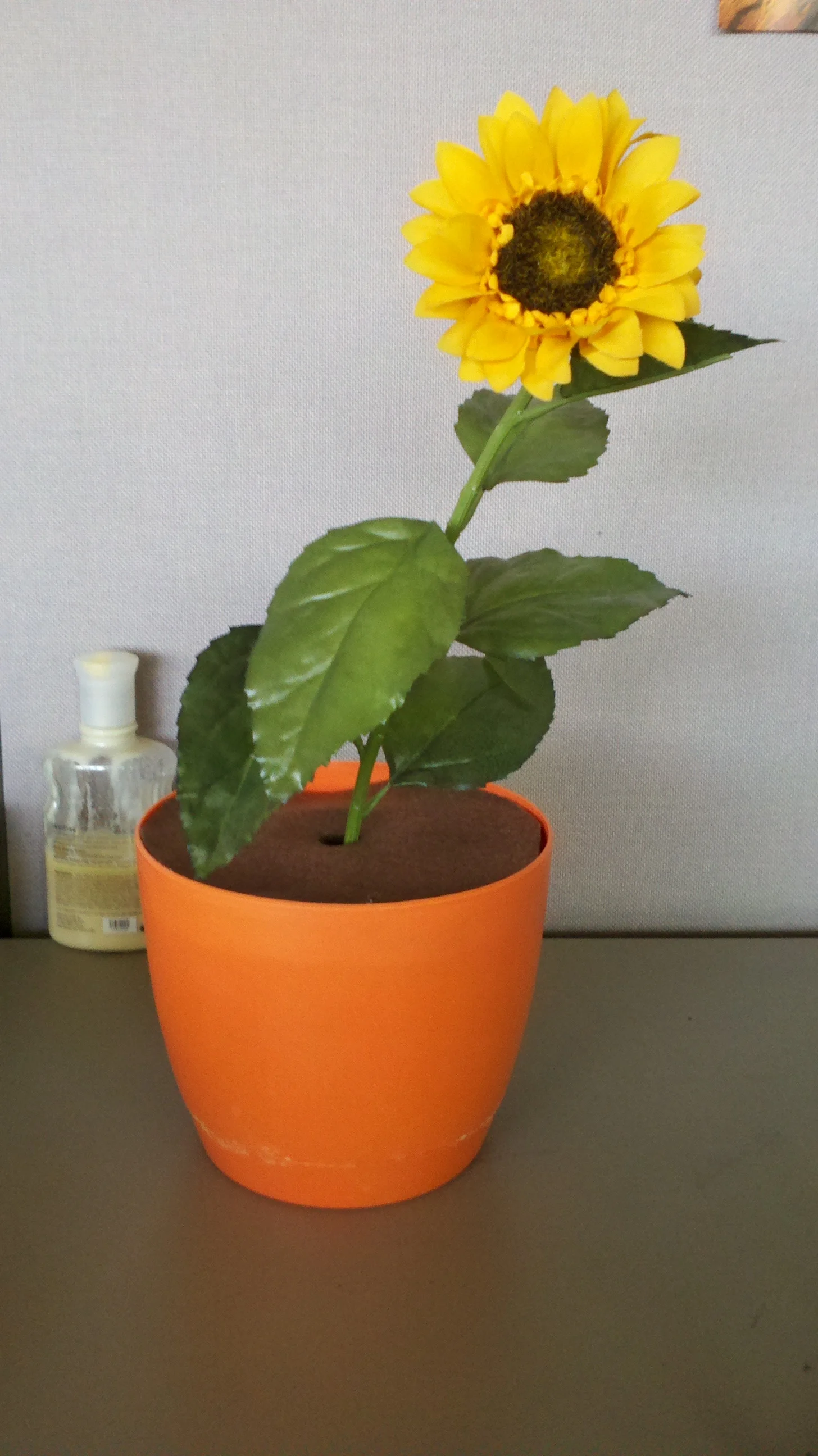 Fran's Flower