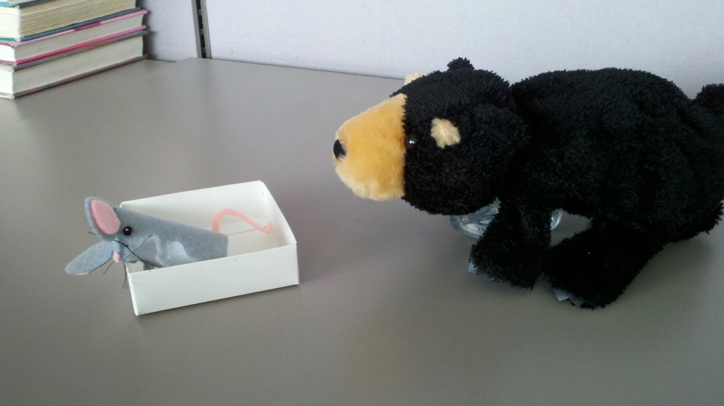 Thank You Bear - Storytime Visual