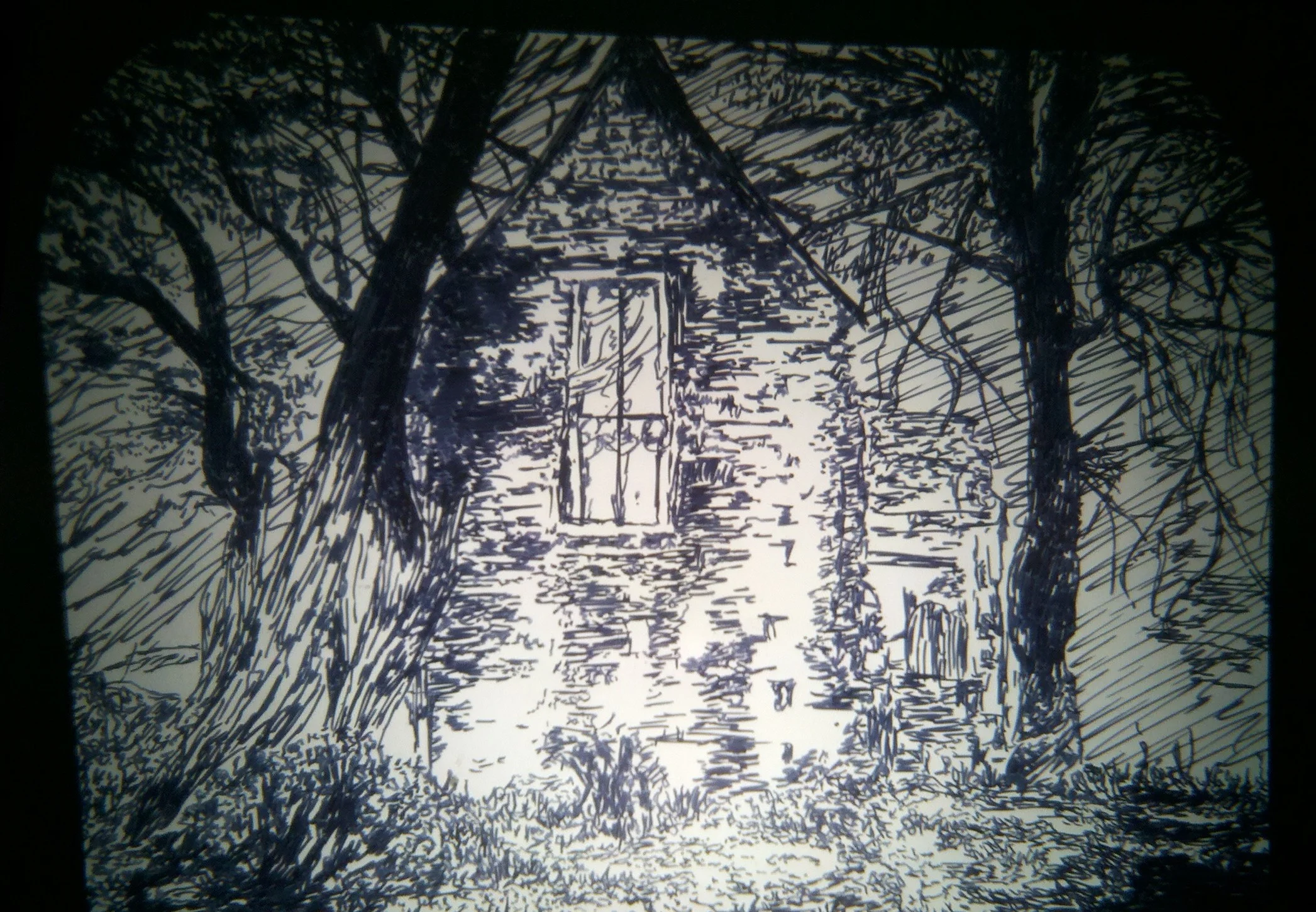 In the Dark Dark Woods