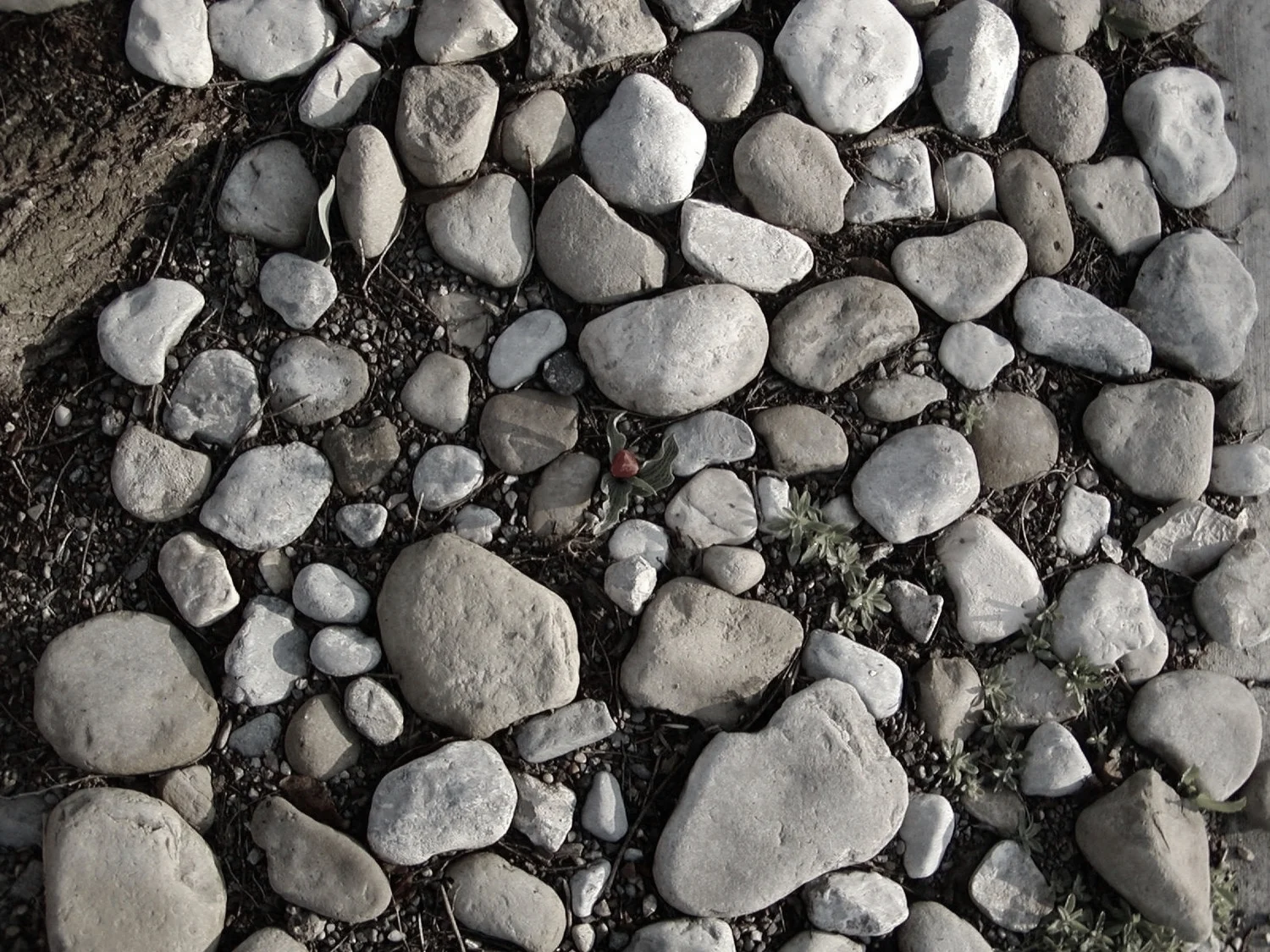 disconnect ...connect 