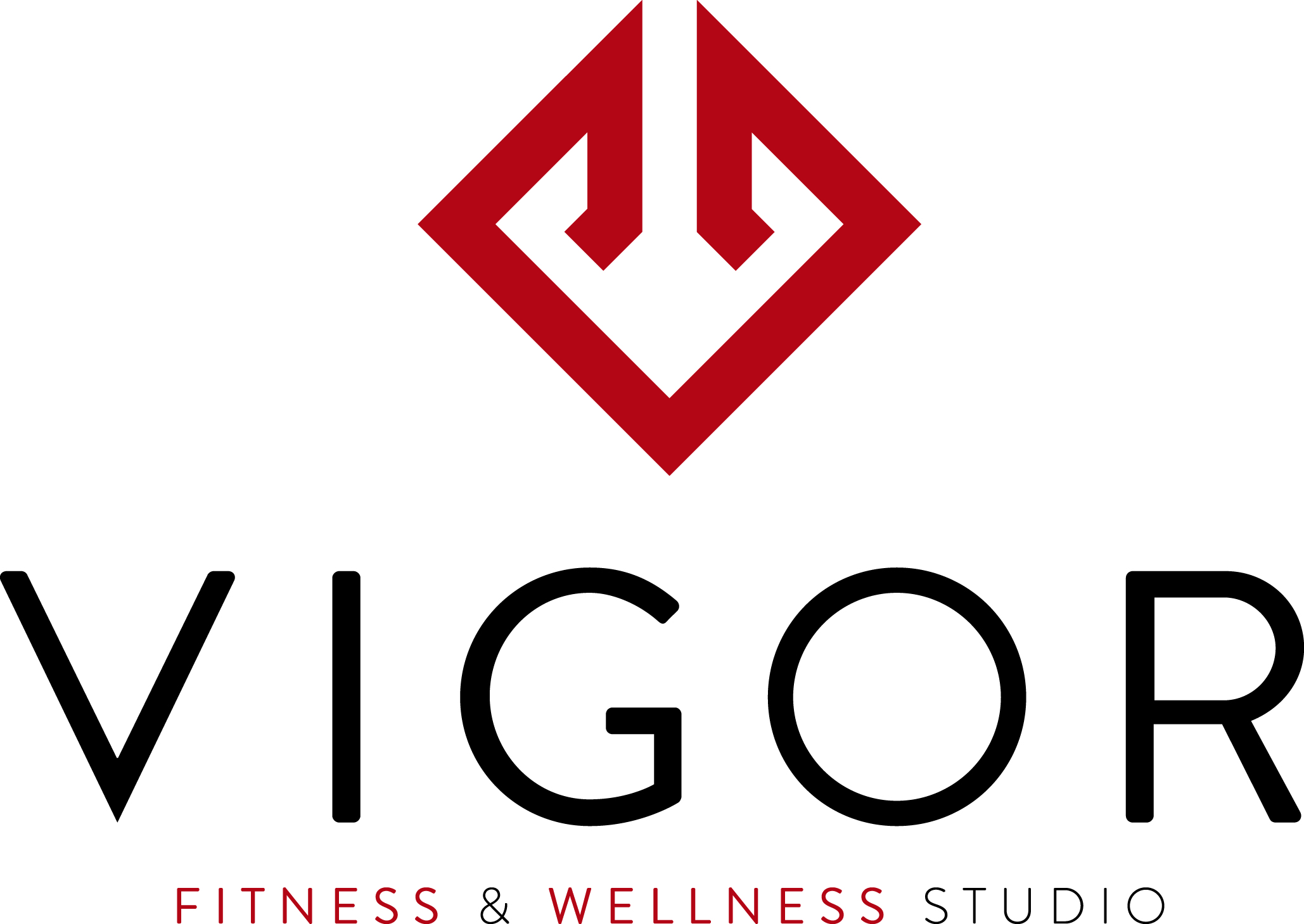 Copy of Vigor Fitness & Wellness Studio