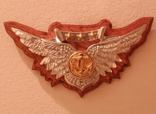 Combat Air Crew