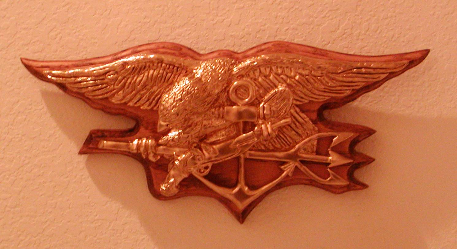US Navy SEAL
