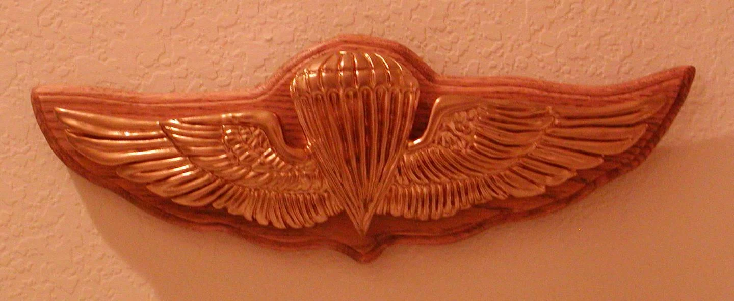 US Navy Jump Wings