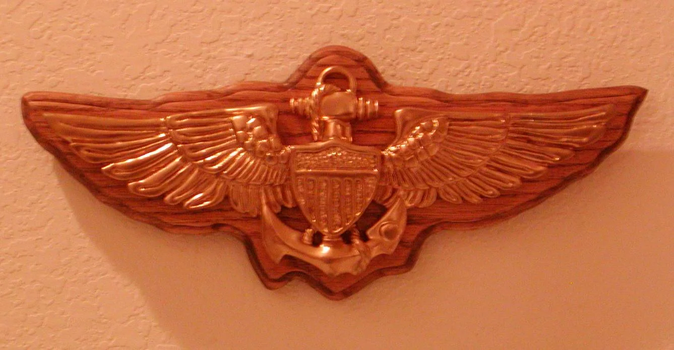 US Navy Pilot