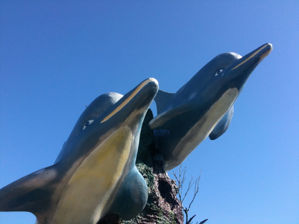 Dolfins.jpg