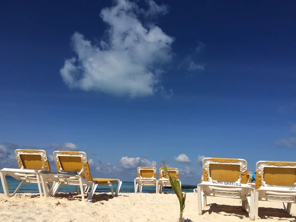 Beachchairs.jpg