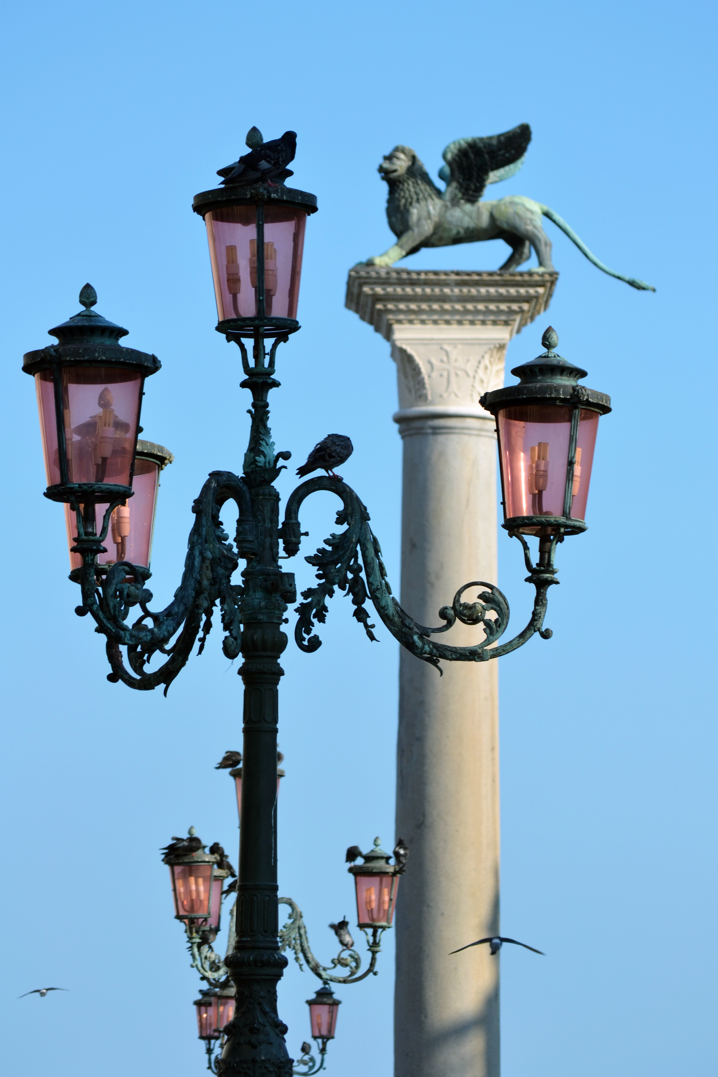 CSC_0398.JPG