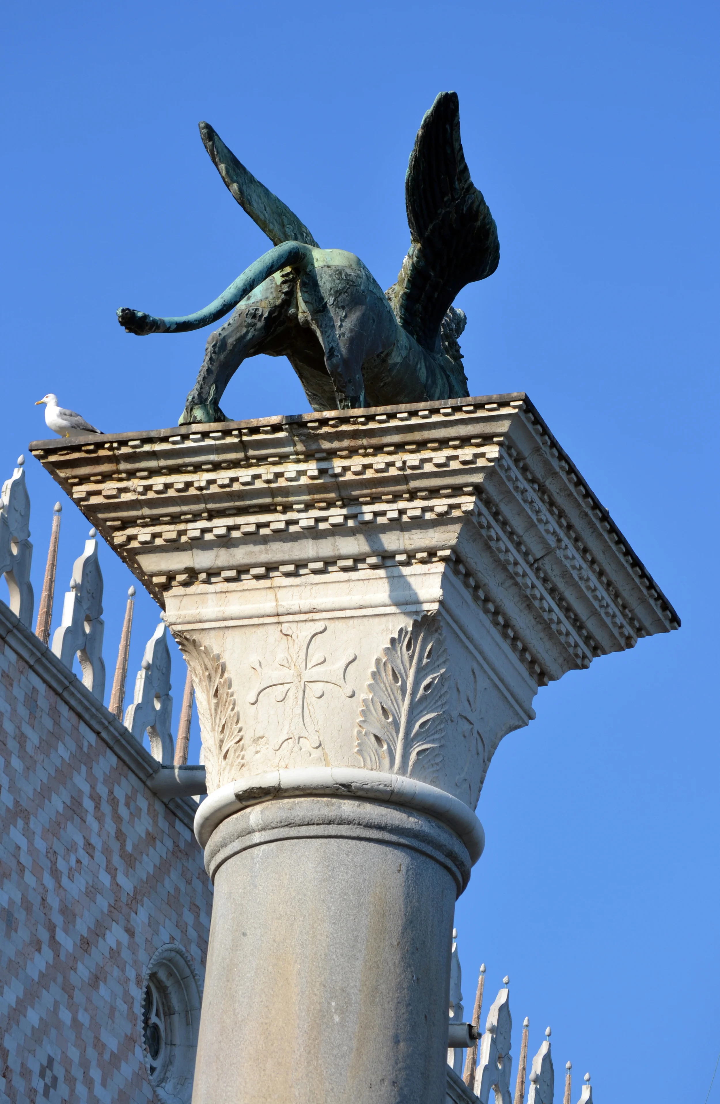 DSC_0373.JPG