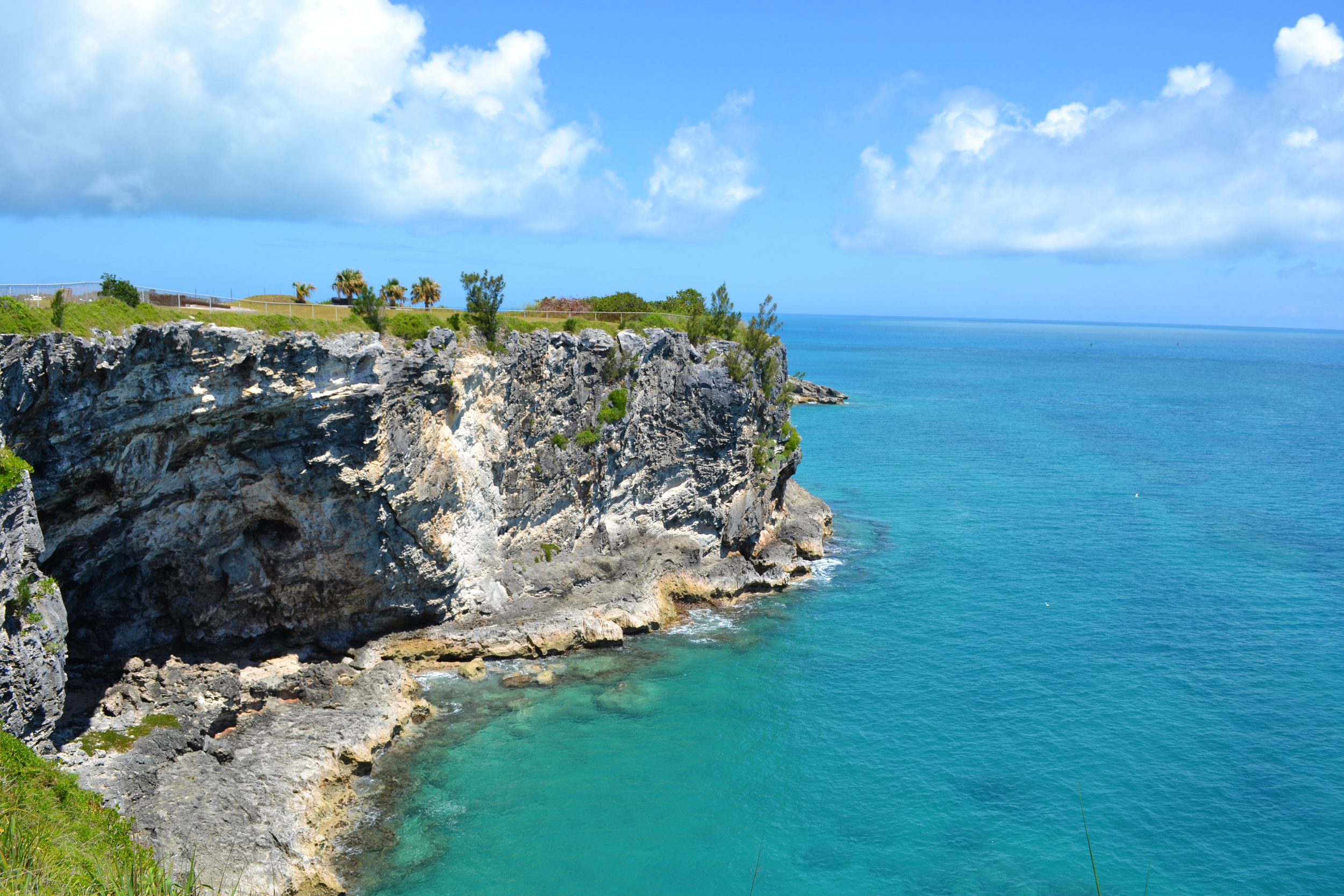 DSC_0777.JPG