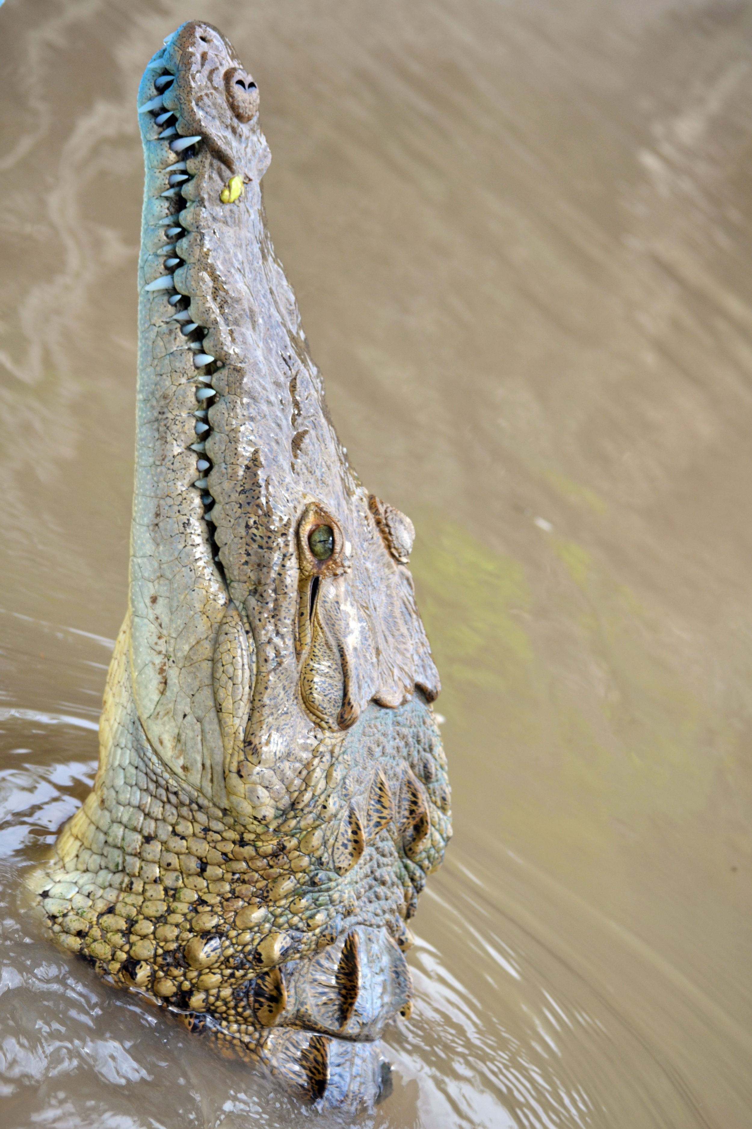 DSC_0293.JPG