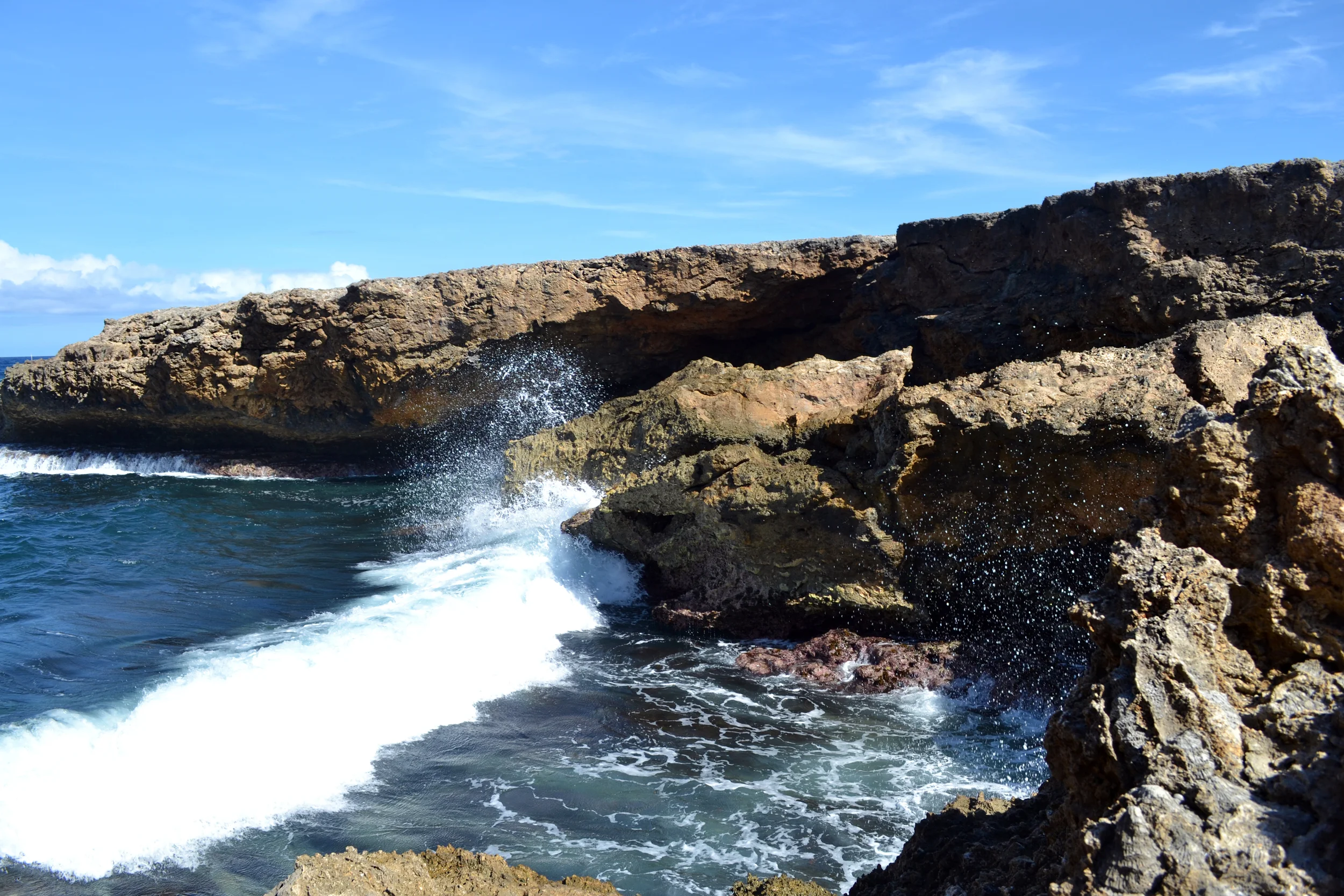 DSC_0685.JPG