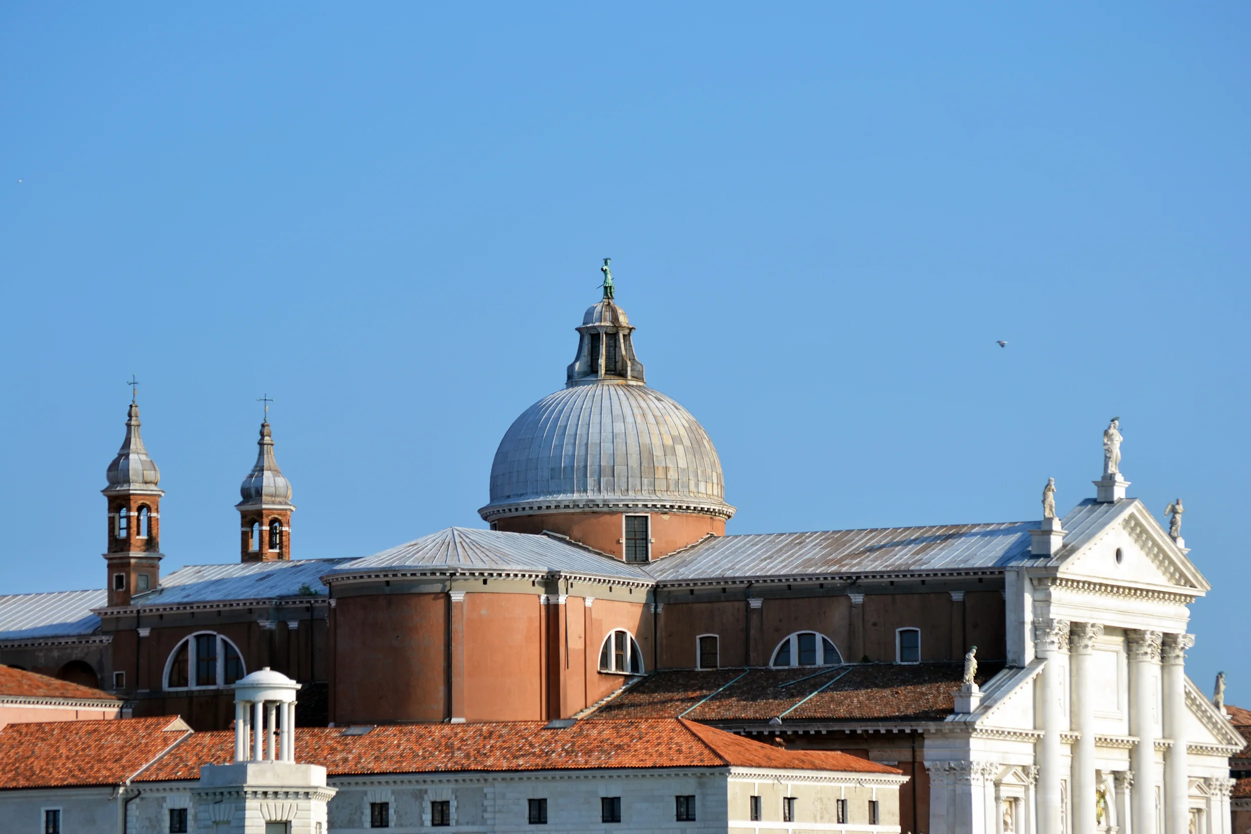 DSC_0350.JPG