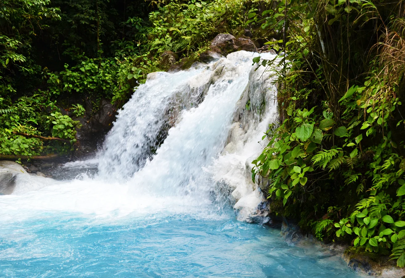 DSC_1076.JPG