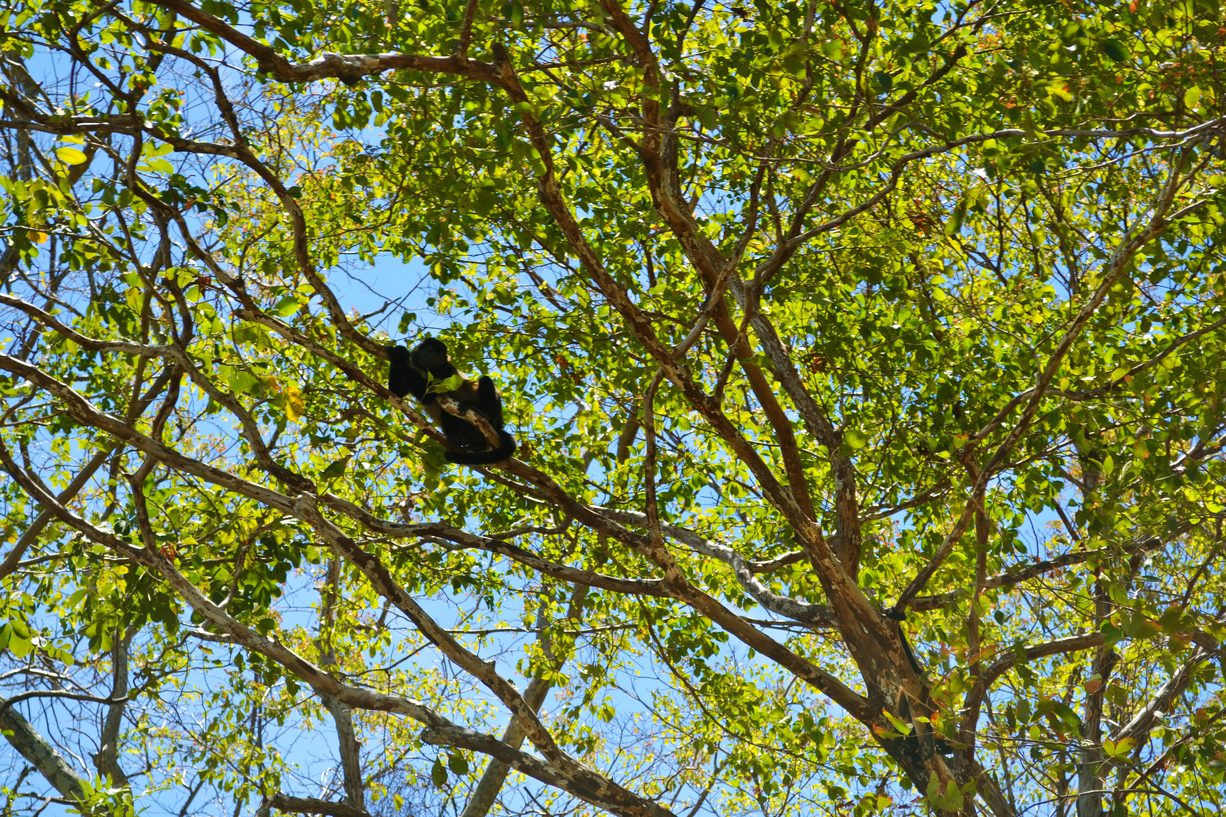 DSC_0928.JPG
