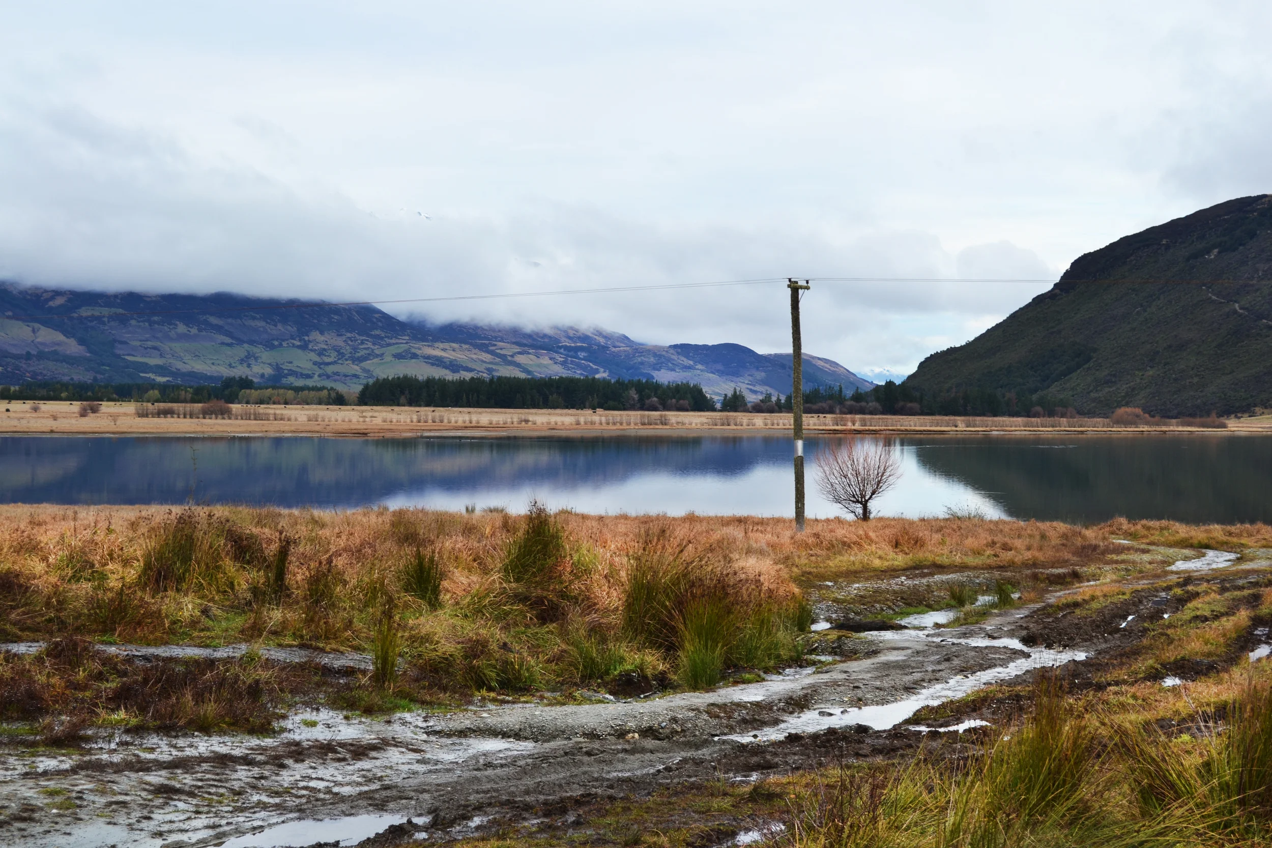 DSC_0909.JPG