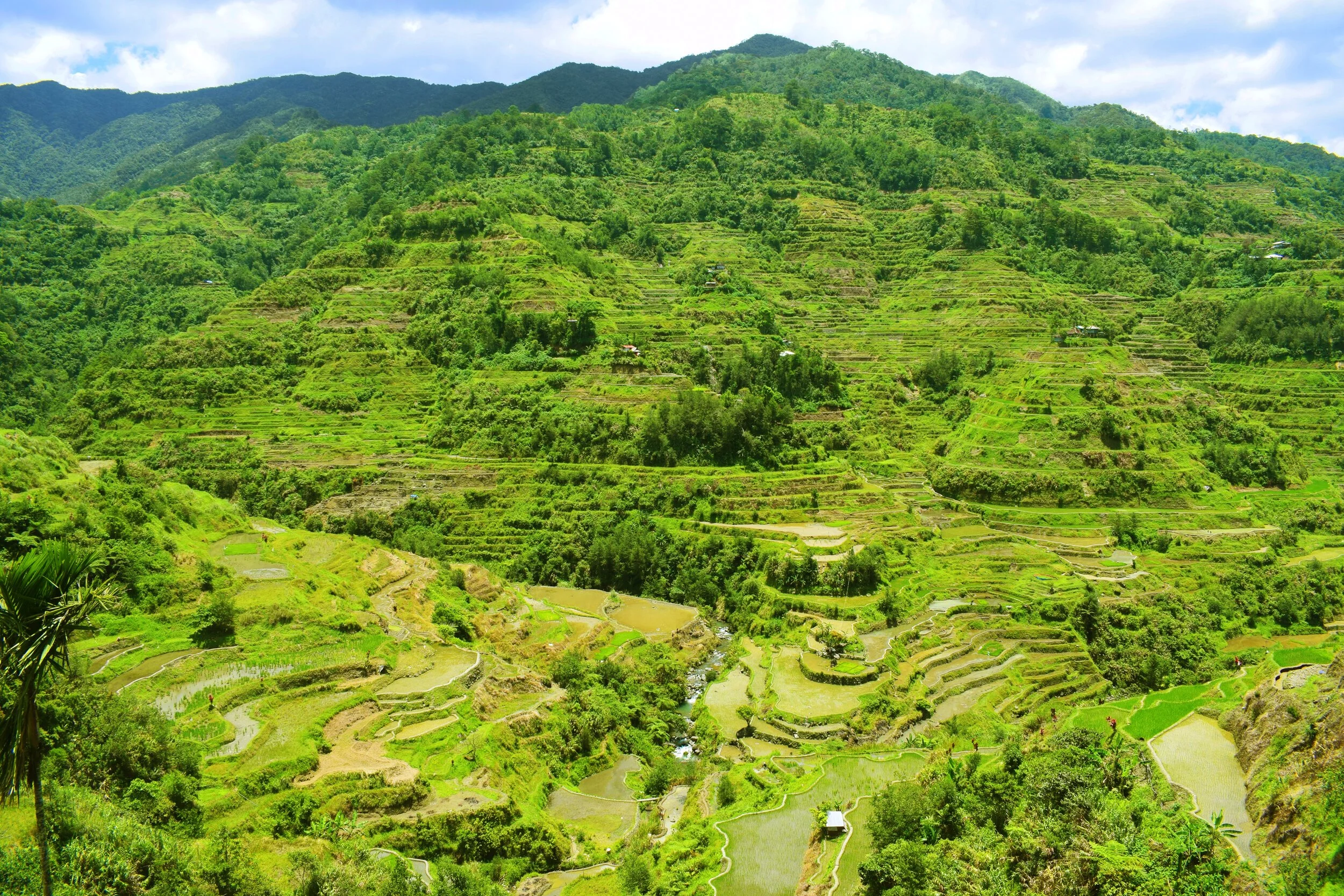 Banue_Terraces_Kristin_Tablang.jpg