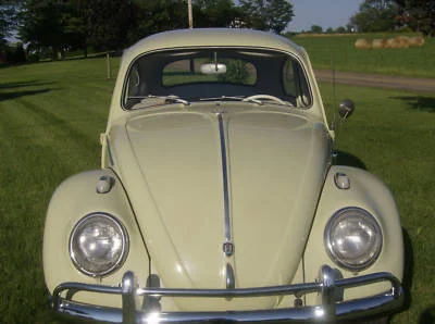 Specializing in polishing the chrome hubcaps and bumpers on their mother's 1963 Beryl Green Volkswagon Beetle.