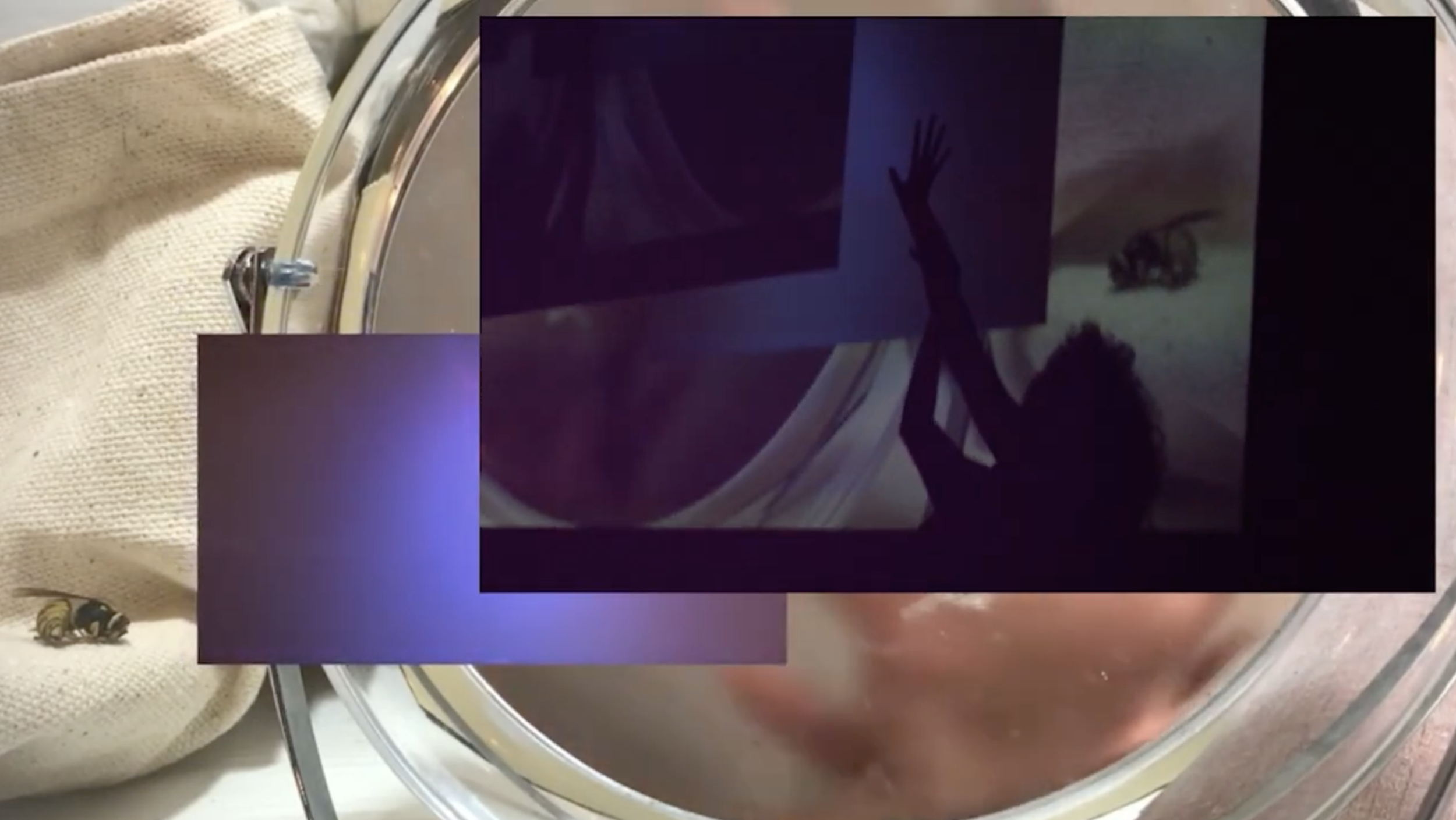 CRSH-Still 2_ Maya Vivas.png