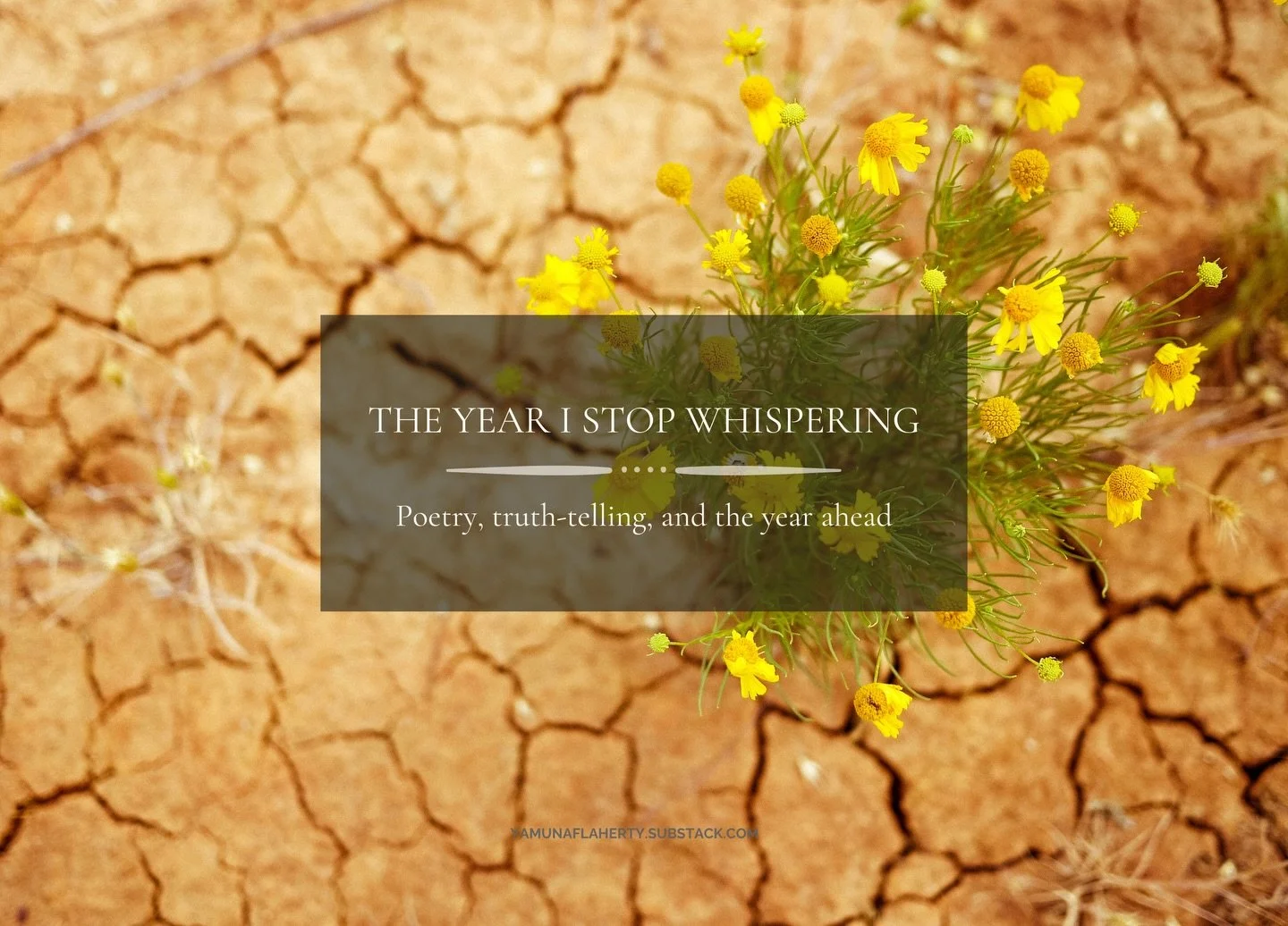 Hi friends, this is my last newsletter of the year!

This essay marks a threshold&mdash;between years, between silence and voice, between the woman I was taught to be and the one I am becoming. Written in the lead-up to the launch of my debut poetry 