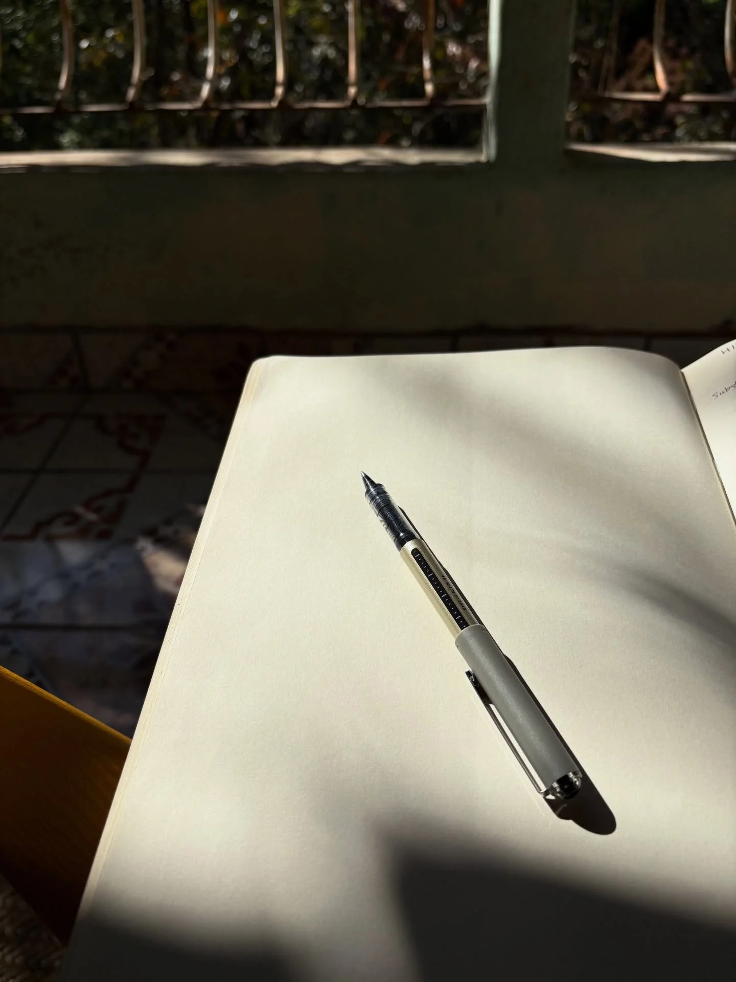 Nothing gets me more excited than those blank page days, sitting in a sliver of sunshine in the forest, the distant sound of family gatherings, and music, while my baby sleeps and I make plans for great things. 💥