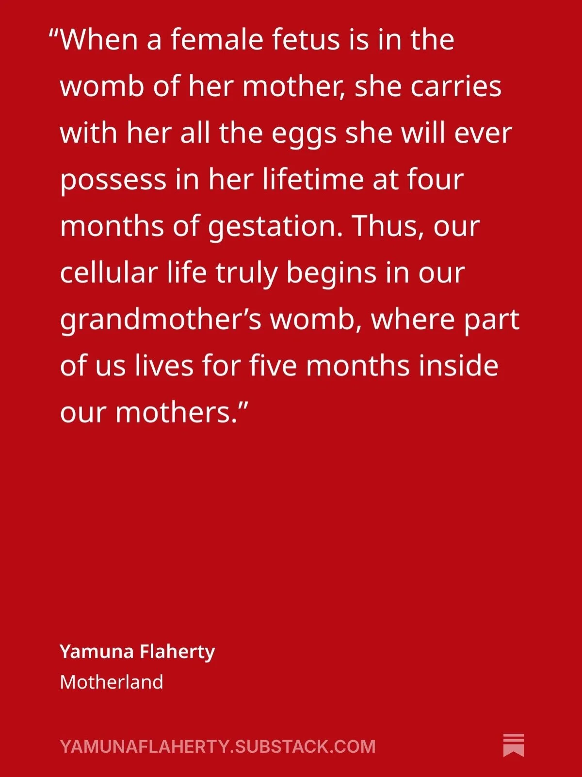 It will never not blow my mind that a part of every woman has lived inside of her grandmother. Like the Russian Matryoshka&mdash;wooden stacking dolls that nest within one another to infinity. We women have literally lived inside one another since th