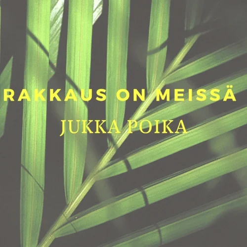 Rakkaus on meissä -kansi.jpg