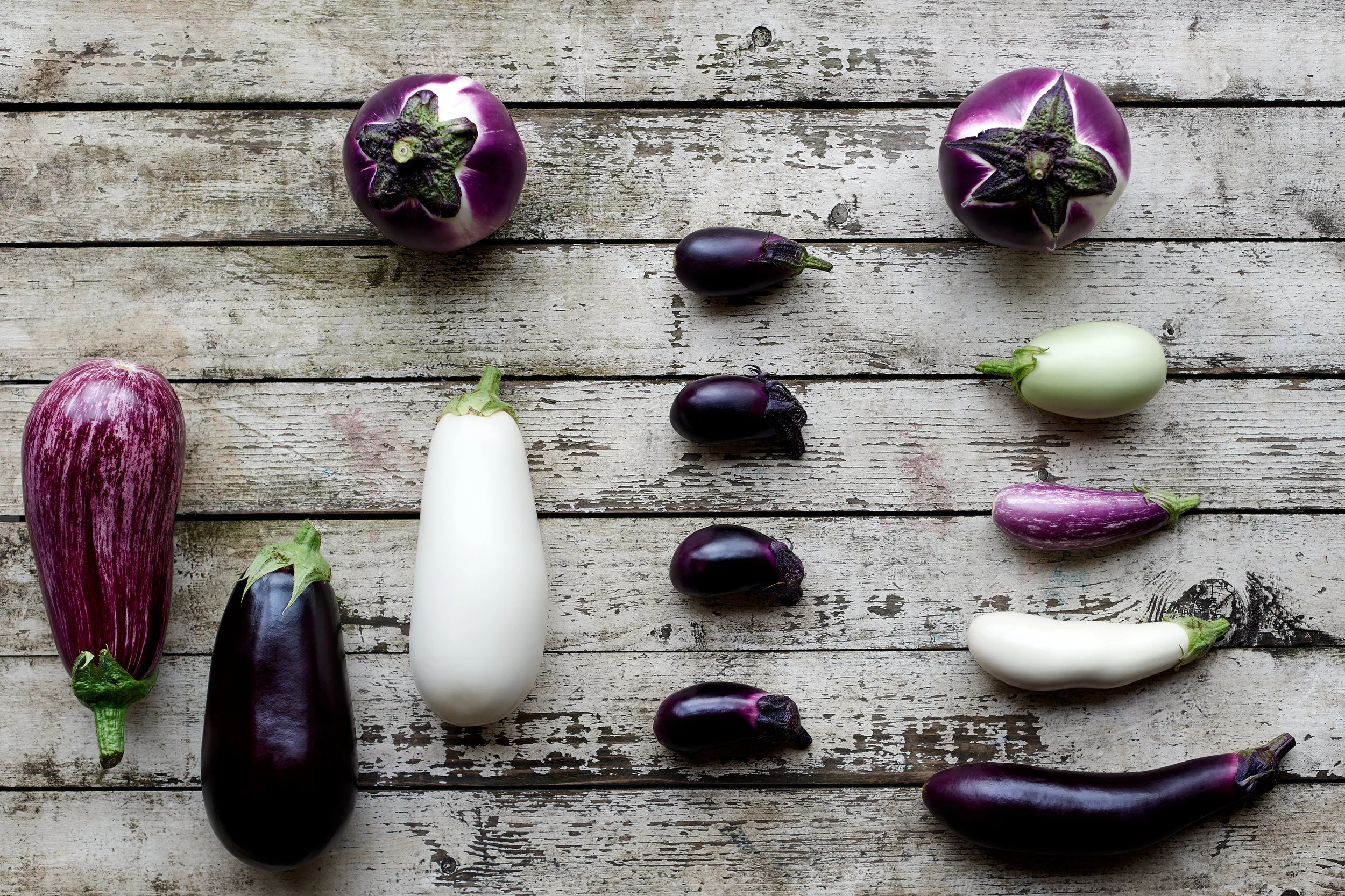 DOOR II Food1954.jpg