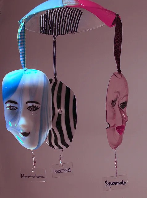 6655174525_b849ed0341_z.jpg