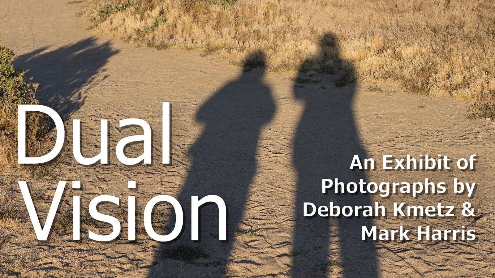 Dual Visions.jpg