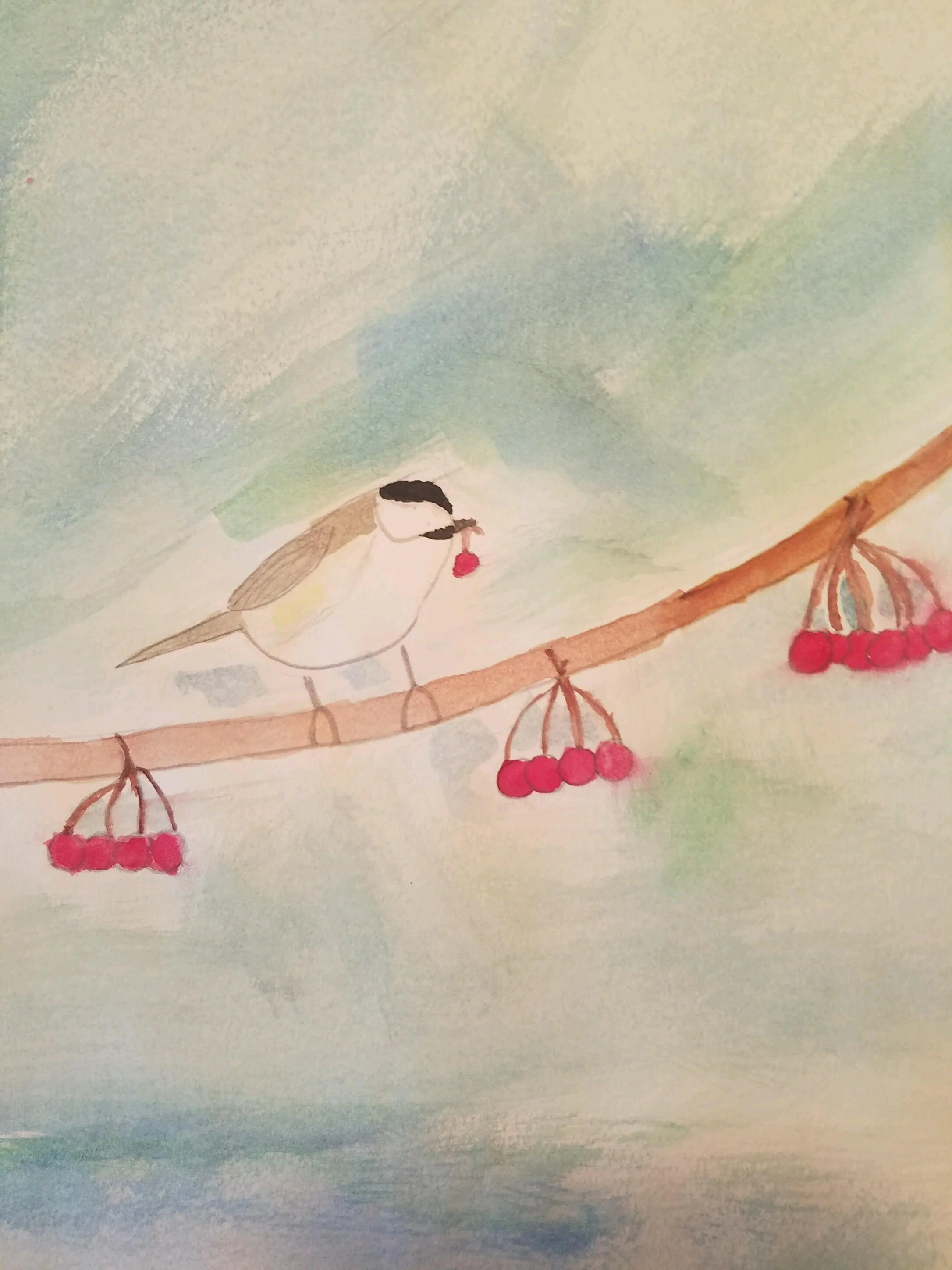 Marisa's bird drawing.jpg
