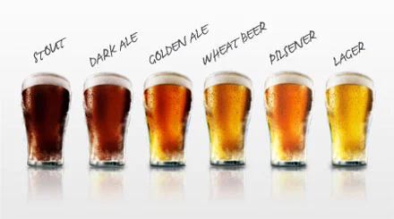 Beer 101 — Beverage