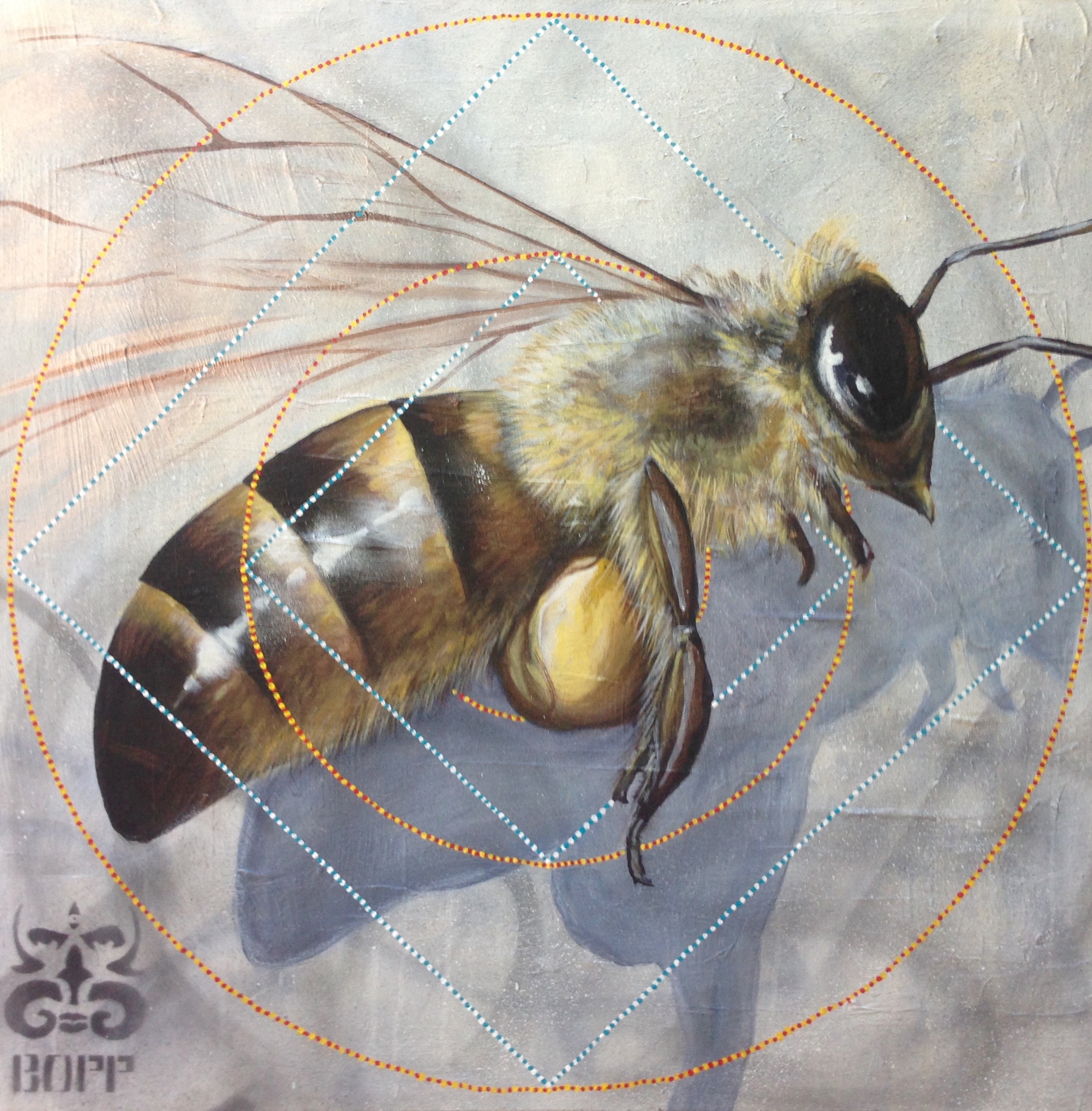 'Bumble' Acrylic and aerosol on canvas 36''x36''