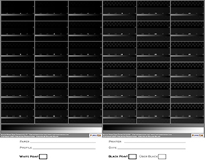White and Black Point Target WPC sm.jpg