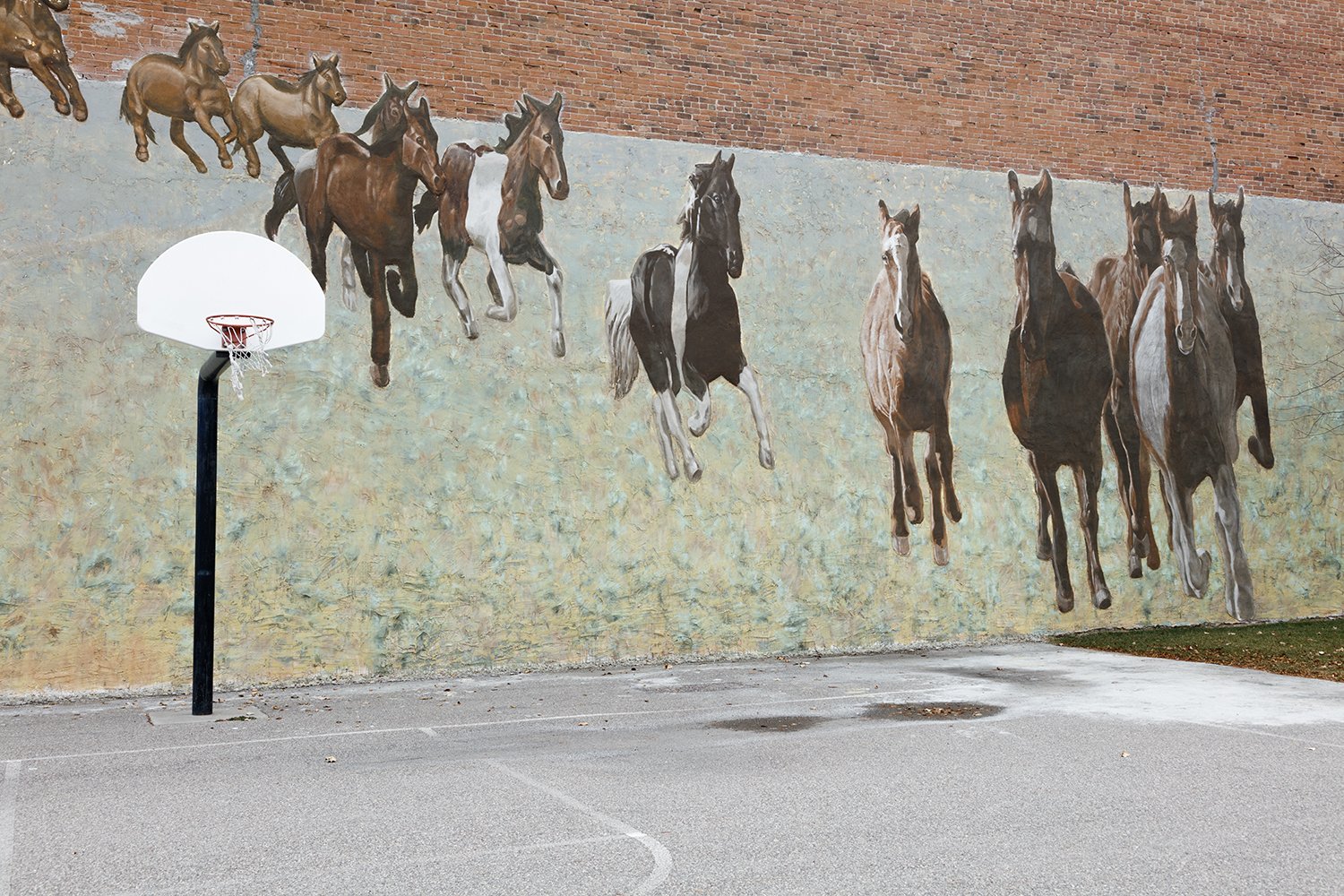 Horse Mural with Basketball Court, Pocatello, Idaho