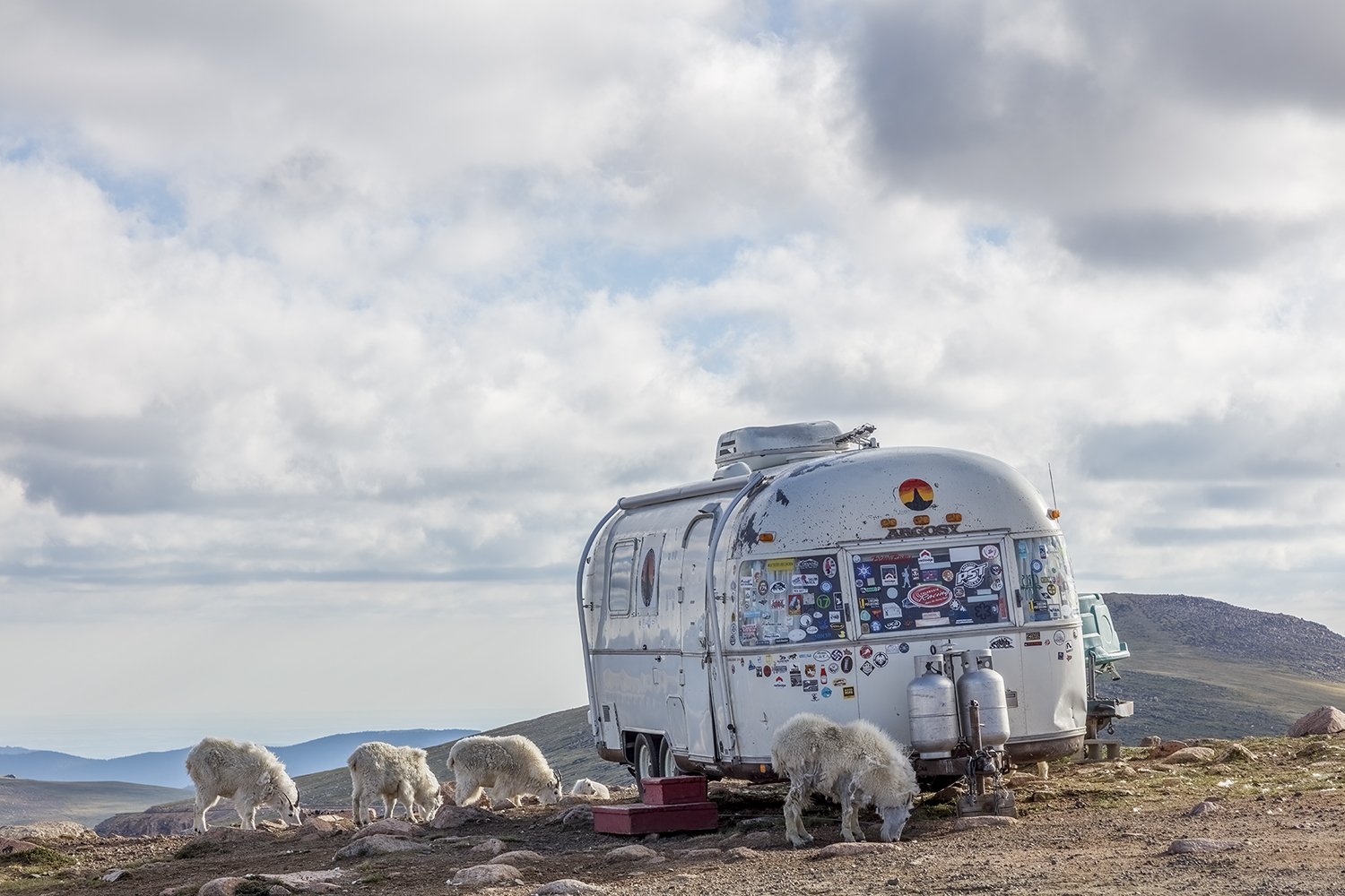 Mountain Goats and Trailer, Beartooth Highway, Montana