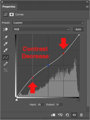 Contrast 2 — Roland Miller Photography